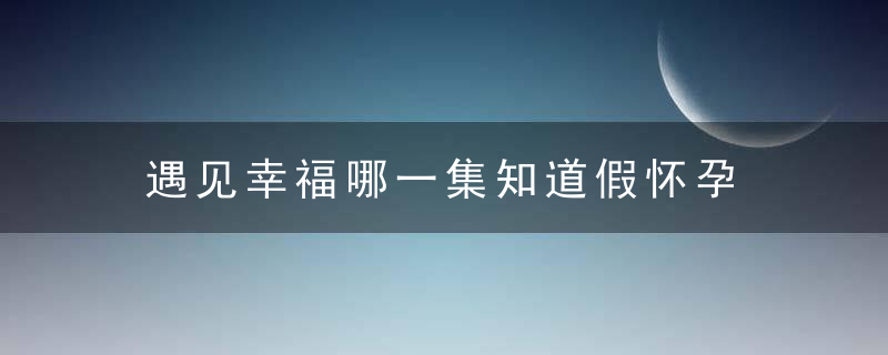 遇见幸福哪一集知道假怀孕 遇见幸福邵邵假怀孕被发现第几集